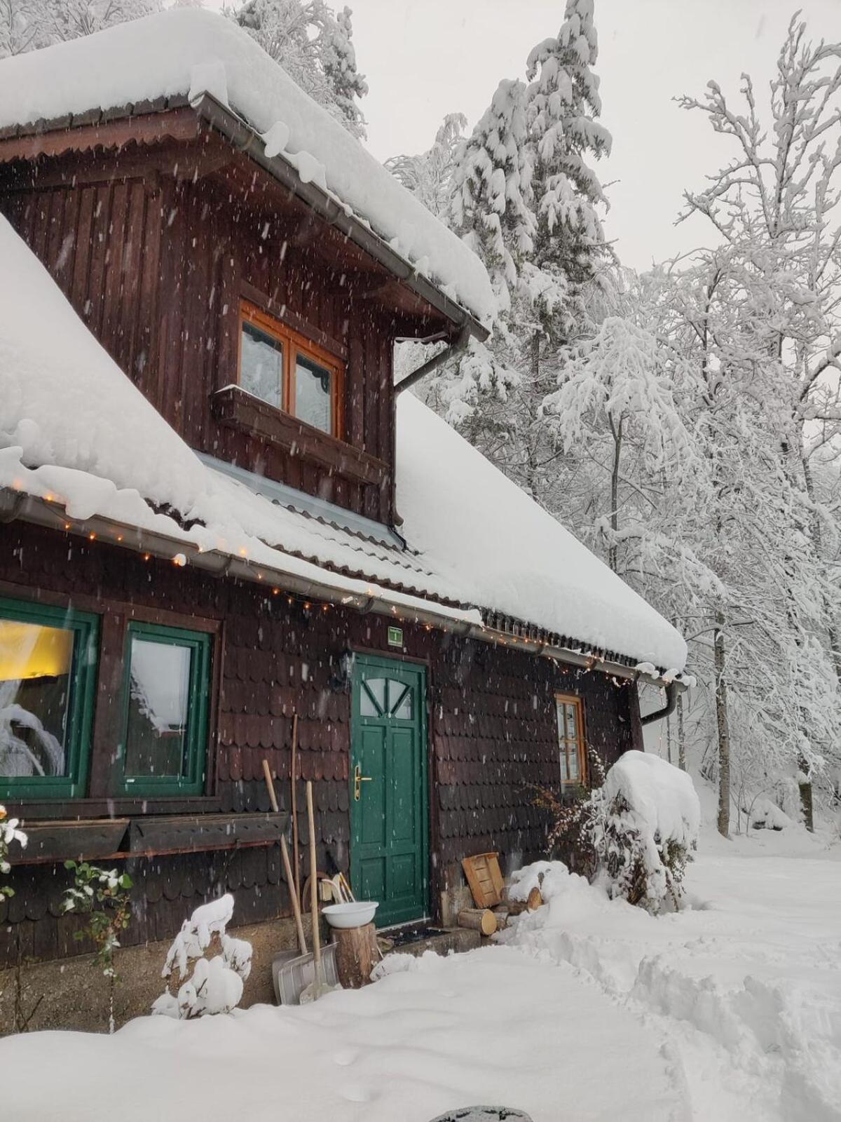 Villa Idyllic Mountain Huette -Gesaeuse Nationalpark Landl  Exterior foto