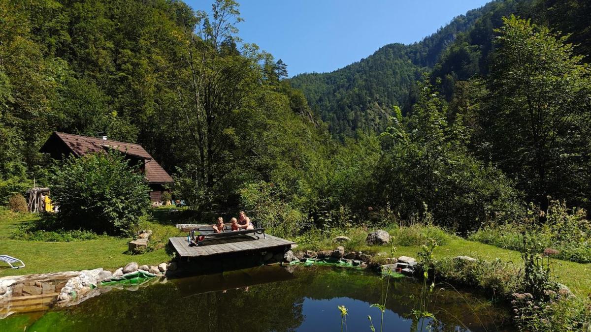 Villa Idyllic Mountain Huette -Gesaeuse Nationalpark Landl  Exterior foto